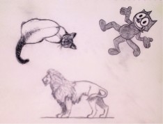 sketch: cats 2