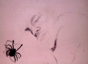 john/spider