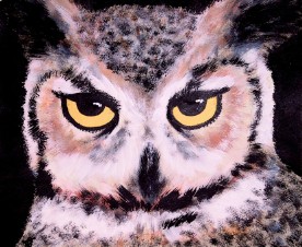 owl