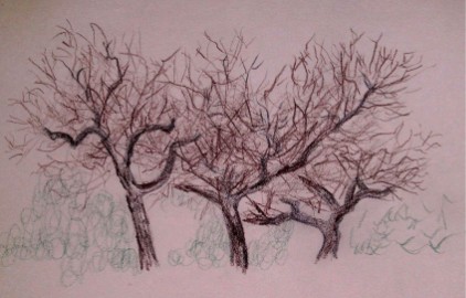 trees 3